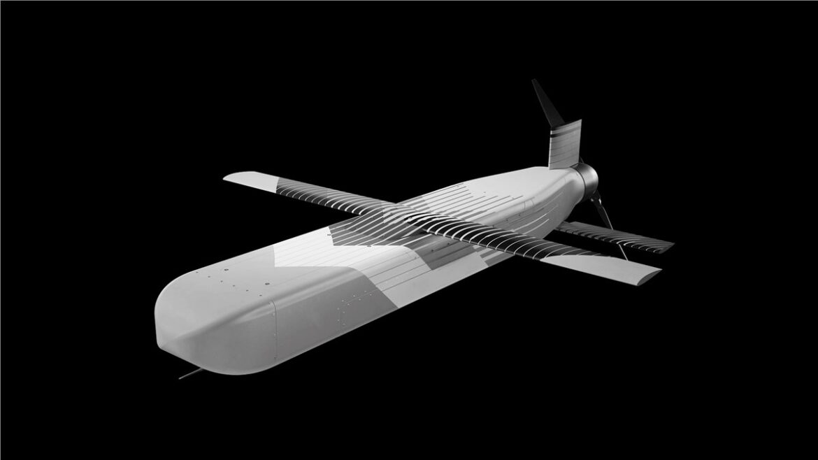 Destinus Hornet B2, Hornet B2 counter-UAS, Netherlands naval counter-UAS, Royal Netherlands Navy, Dutch Ministry of Defence, naval air defence, kinetic counter-UAS, Hornet B2 interceptor, maritime counter-drone systems, naval drone defence,